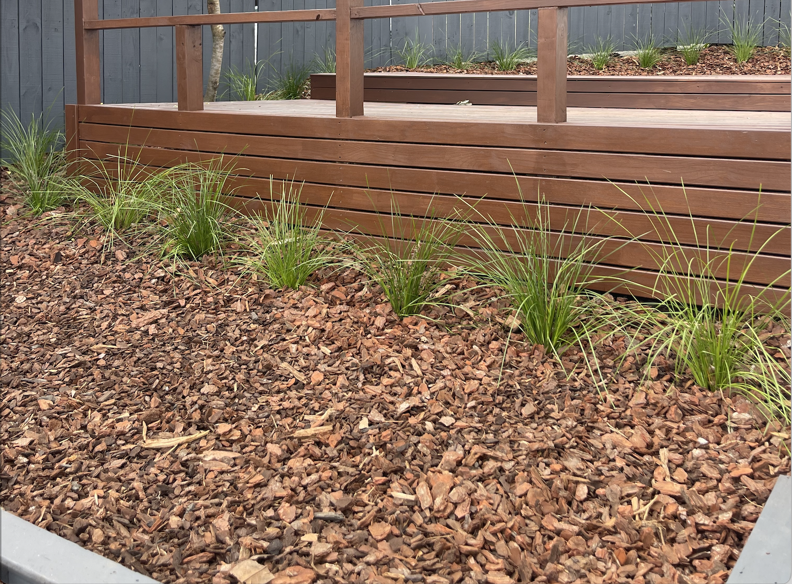 Landscape planting Auckland